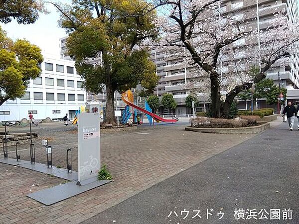 周辺を拡大表示