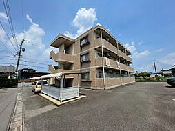 Ｙ＆Ｍデイジー 301