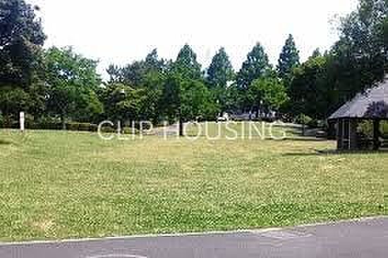 新本牧公園 徒...