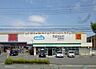 周辺：ウエルシア藤沢柄沢店 徒歩13分。 970m