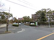 私立近畿大学医学部（1125m）