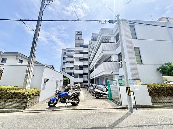 白を基調とした...