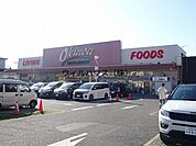 オークワ高石羽衣店 496m