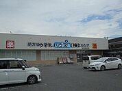 ウエルシア泉大津我孫子店 1515m