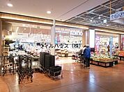 コーヨー堺店 522m