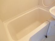綺麗です♪