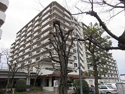 外観 外観