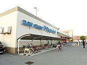 万代堺土師店 2133m
