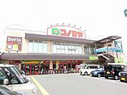 コノミヤ中もず店 800m