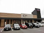 コーヨー光明池店 1179m