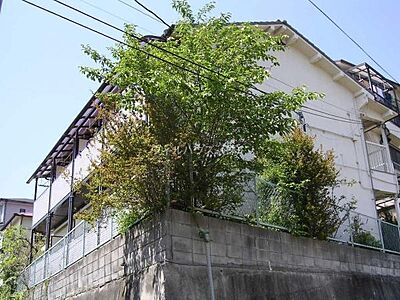 外観 外観