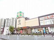 ライフ堺駅前店 772m