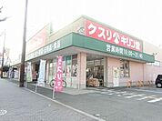 キリン堂百舌鳥梅町店 1084m