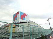 万代美原店 2259m