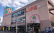 ライフ杭全店 559m