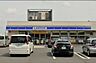 周辺：「ローソン千葉宮崎町店」まで170m (徒歩3分)急な買い物はもちろん、ATM利用や公共料金の支払いなどにご利用いただけます。