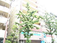 大阪府吹田市豊津町1番11号：物件画像／賃貸大阪株式会社　石橋阪大前店