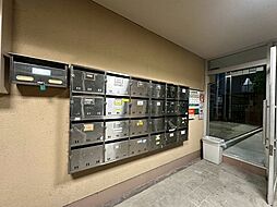 17 / 31