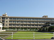 深津小学校まで543ｍ