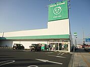 ザグザグ水呑店（ドラッグストア）まで805ｍ