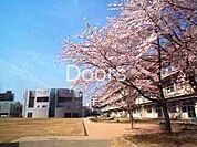 岡山市立石井小学校 328m