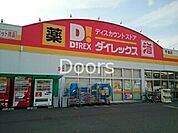 ダイレックス 1100m