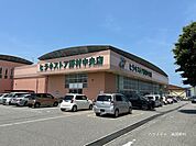 ヒラキストア　野村中央店 930m