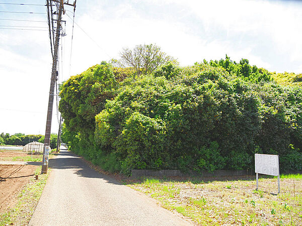 その他を拡大表示