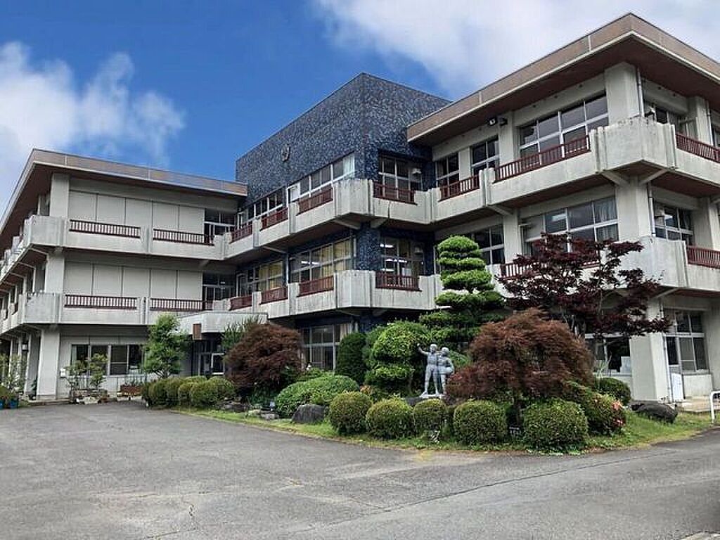 Image 7