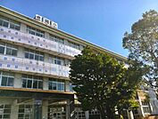 沼津市立金岡小学校 1960m