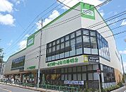 コープ中野鷺宮店（628m）