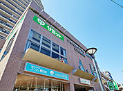 サミットストア 練馬春日町店（166m）