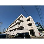 茨城県水戸市堀町：物件画像／桂不動産株式会社　赤塚支店