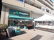 マルエツ 菊川店（333m）