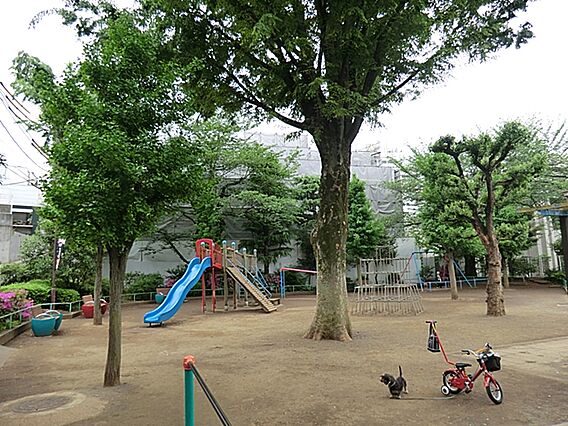 上原公園