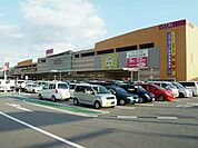 イオン姫路大津店