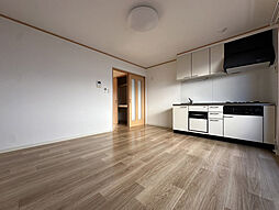 SkyRoom2 1LDKの写真