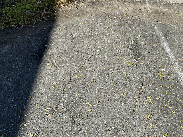 13 / 29