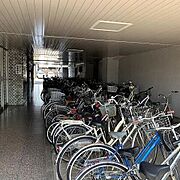 その他屋外