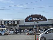 ならコープ　コープみみなしまで350メートル