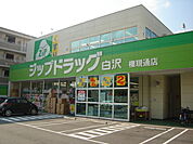 その他「ジップドラッグ白沢権現通店まで706m」