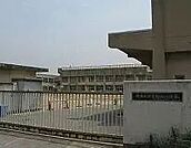 浜寺昭和小学校 310m
