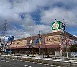 ライフ石津店 1130m