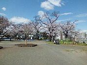 幸ケ谷公園 598m