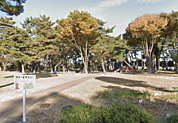関根公園（車で1分）