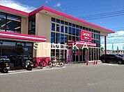 ザ・ダイソー岡山平田店 4610m