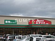 業務スーパーエブリイ大福店 668m