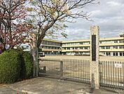 新蟹江小学校 600m