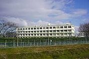 甚目寺西小学校 800m