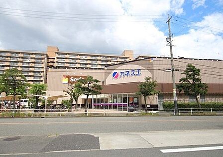 カネスエ　木場店 1100m